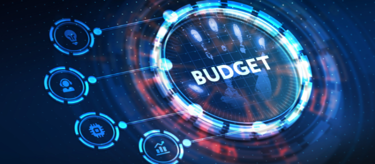 How should You set a budget for a large technology purchase?