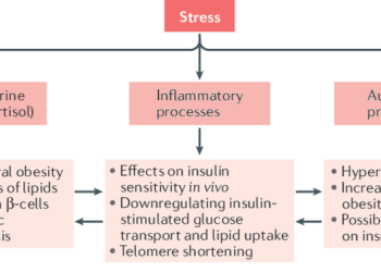 The Impact of Stress on Diabetes Management