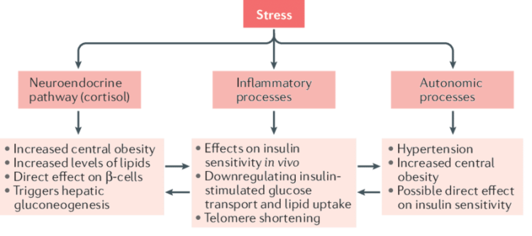 The Impact of Stress on Diabetes Management