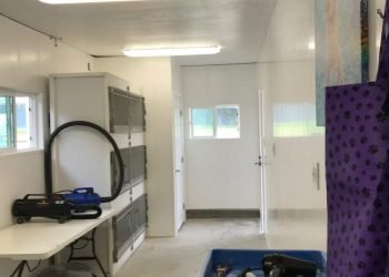 How to Make Your Dog Kennel Maintenance Easy with PVC Wall Panels?