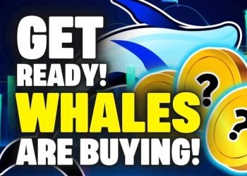 Crypto whales are buying these Altcoins
