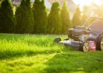 When to start lawn mowing in spring?