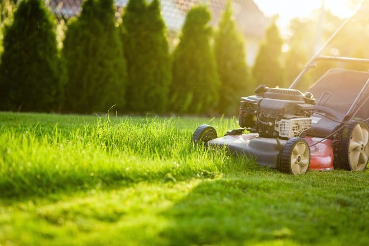 When to start lawn mowing in spring?