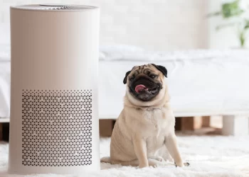 Why MERV Filters are a Smart Investment for Your Indoor Air Quality