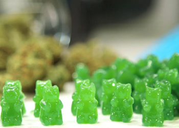  Satisfy Your Sweet Tooth and Calm Your Mind with CBD Gummies