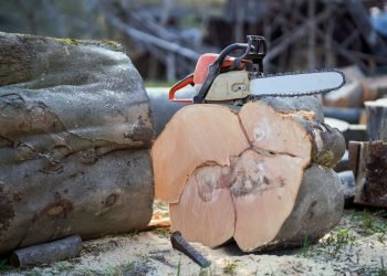 The Complete Guide to Choosing Logging Equipment: Everything to Know