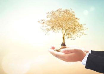 How To Secure Your Future Through Wealth Management 