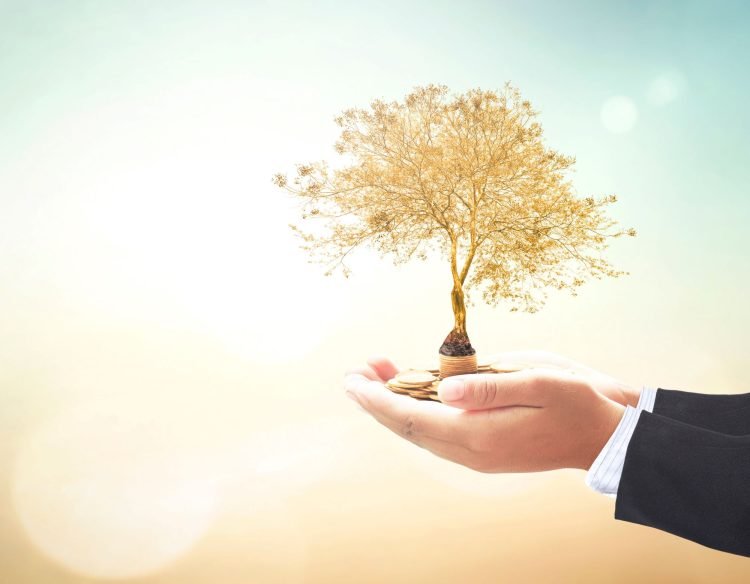 How To Secure Your Future Through Wealth Management