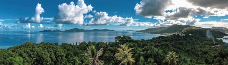 Reasons Why You Should Consider Incorporating a Company in Nevis