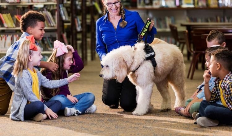 Four ways schools promote animal welfare and teach responsible pet ownership