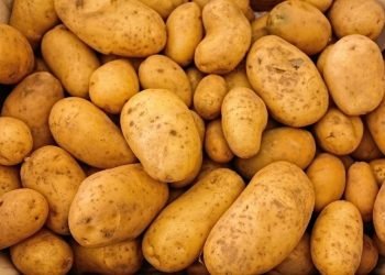 A Guide to Preparing Potato-Based Meals for Cats