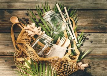 Identifying Sustainable Practices for Small Perishable Food Businesses