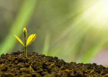 Tig Capital Review (Pros and Cons) | Important tigcap.com 2023 Updated Review