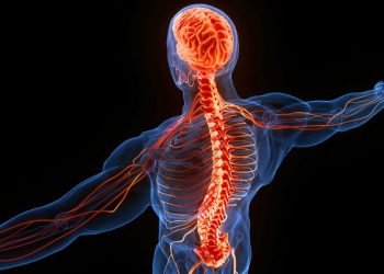 Coping with Spinal Injury: Navigating Insurance and Disability Benefits