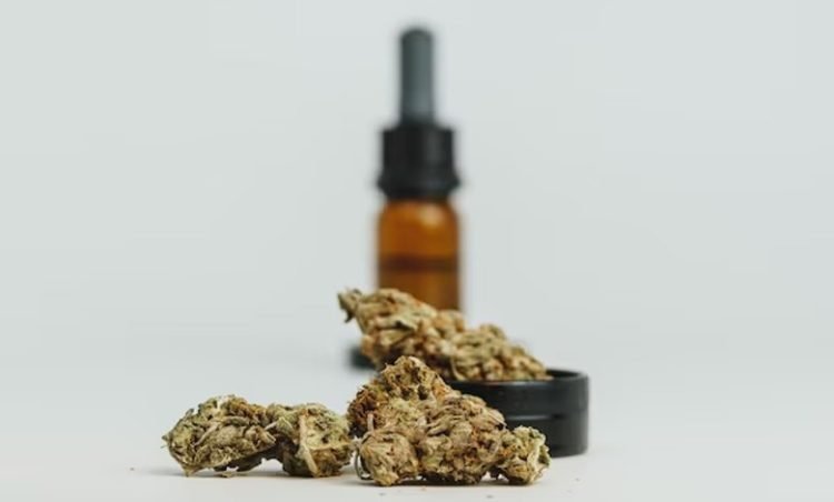 Unlocking the Therapeutic Potential of THCA Products: The Future of Medical Cannabis