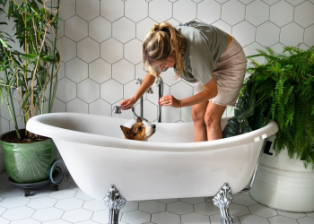 The Benefits of Bathtub Refinishing Over Replacement