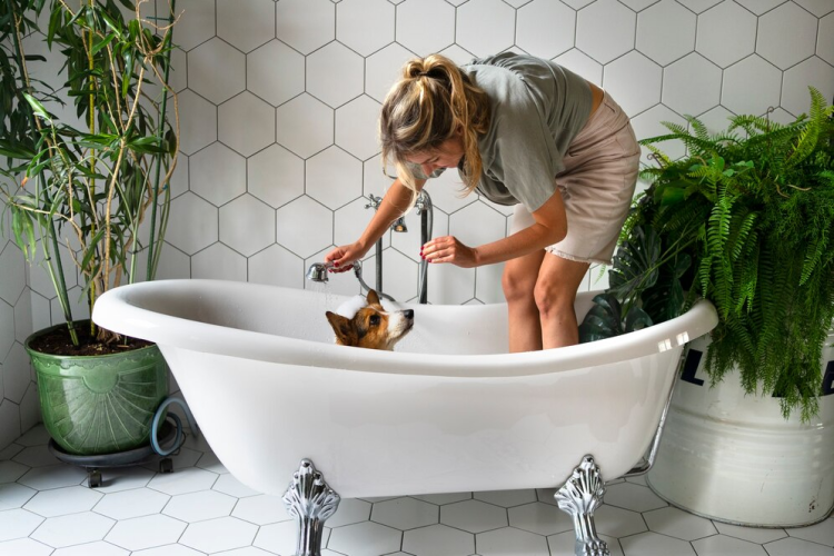 The Benefits of Bathtub Refinishing Over Replacement