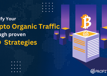 Amplifying Your Crypto organic traffic through proven SEO Strategies provided by Profit By PPC