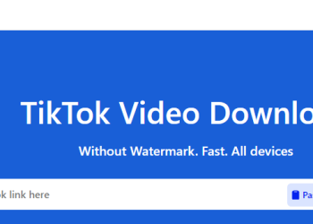 In-Depth Review: Is Snaptik the Best TikTok Video Downloader?