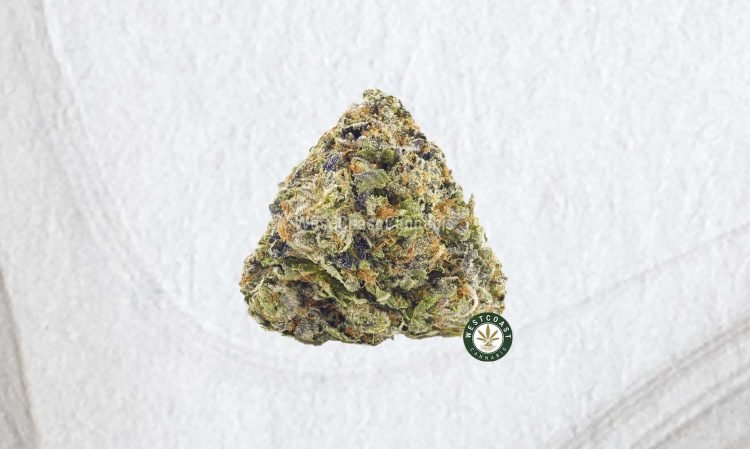 From Citrus Bliss to Wellness: Lemon Gelato Strain’s Surprising Health Benefits!