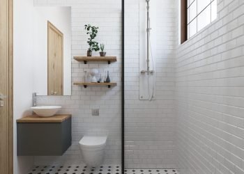 Pros and Cons of Electric and Mixer Showers for Disabled or Elderly Individuals