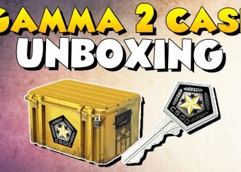 What’s Inside the Gamma 2 Case?