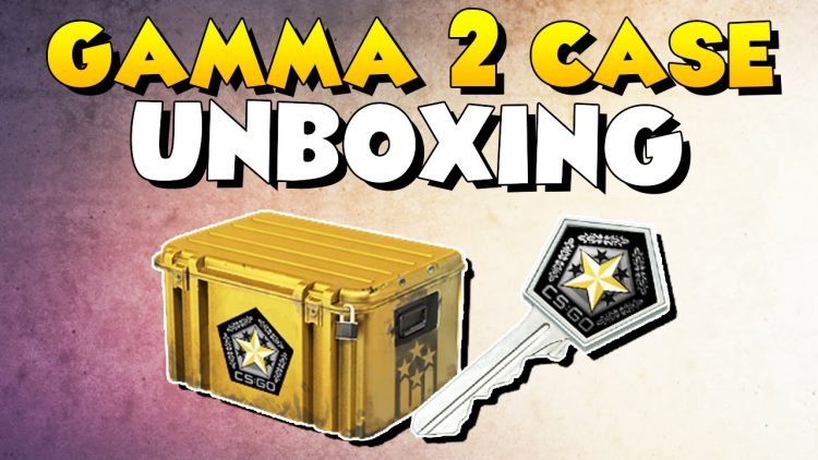 What’s Inside the Gamma 2 Case?