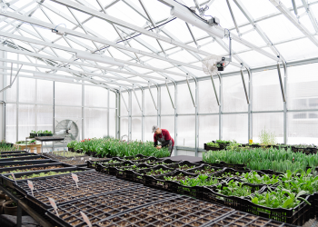 How To Design A Greenhouse Like A Master?