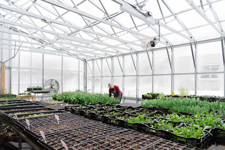 How To Design A Greenhouse Like A Master?