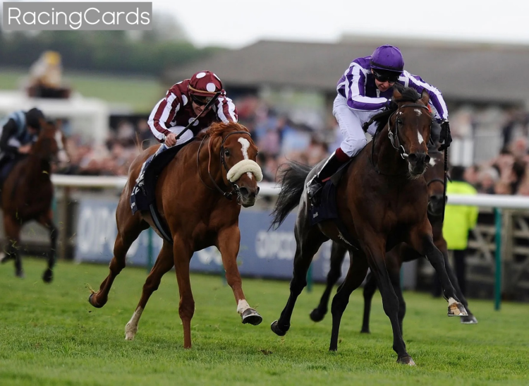 Today’s Racing Card: Your Comprehensive Guide to UK & Ireland Races
