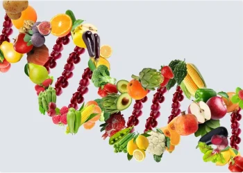 What is a DNA-based Diet?