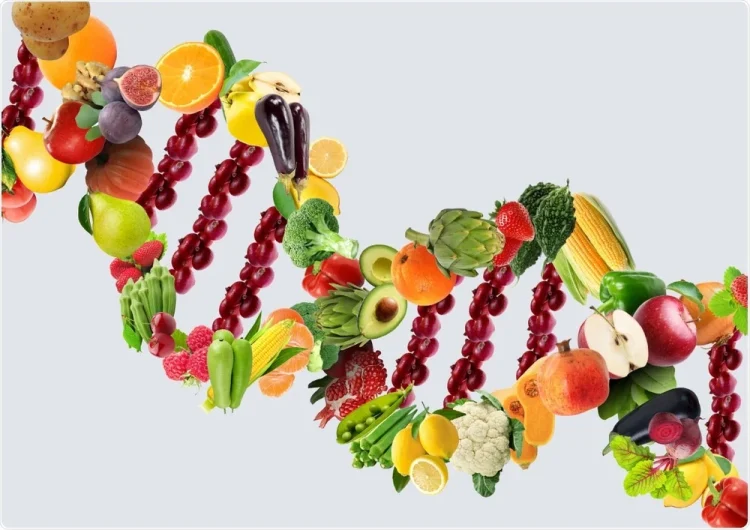 What is a DNA-based Diet?
