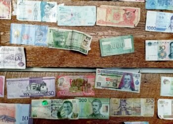 Why People Collect and Profit from Paper Money