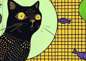 The Phenomenon of Solana Memecoins