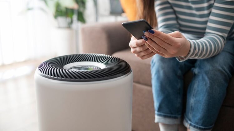 How to Choose an Air Filter: Tips for Clean Air in Your Home