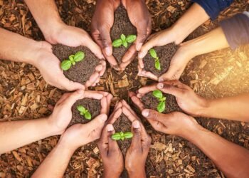 Unveiling the Vision: John Sydnor’s Approach to Sustainable Development