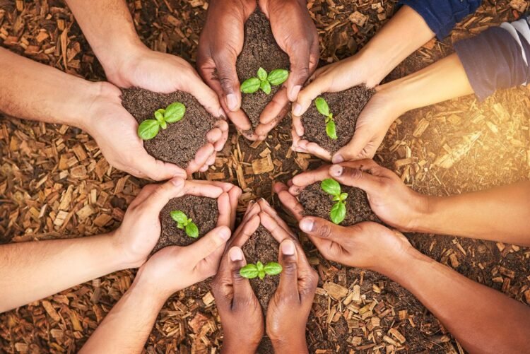 Unveiling the Vision: John Sydnor’s Approach to Sustainable Development