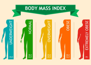 What is Body Mass Index (BMI) Calculator?: All You Need to Know