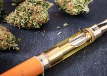 THC Cart: Tips For Beginners And Storage Guidelines