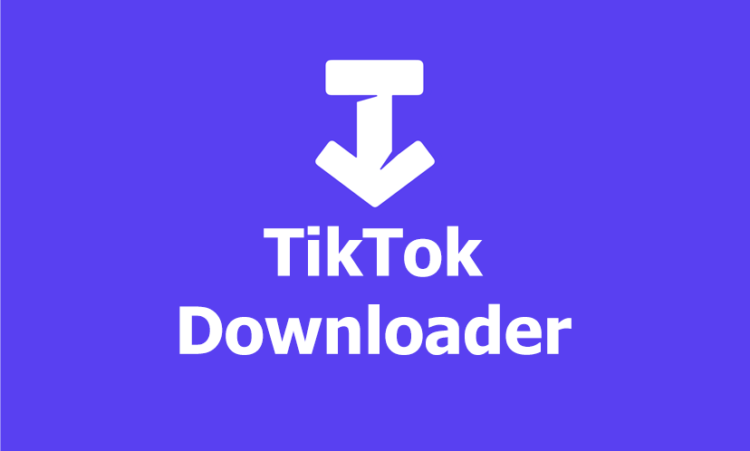 SSSTIK: TikTok Downloader – Download and Save TikTok Videos Without …