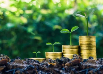 Bitcoin Investment: Integrating ESG Factors for Environmental and Social Impact