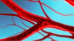 Vascular Surgery – How Can It Change Your Life?