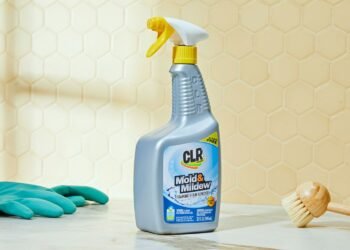3 Tips on How to Choose a Mould Remover Product