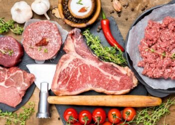 Exploring the Carnivore Diet: A Deep Dive 
