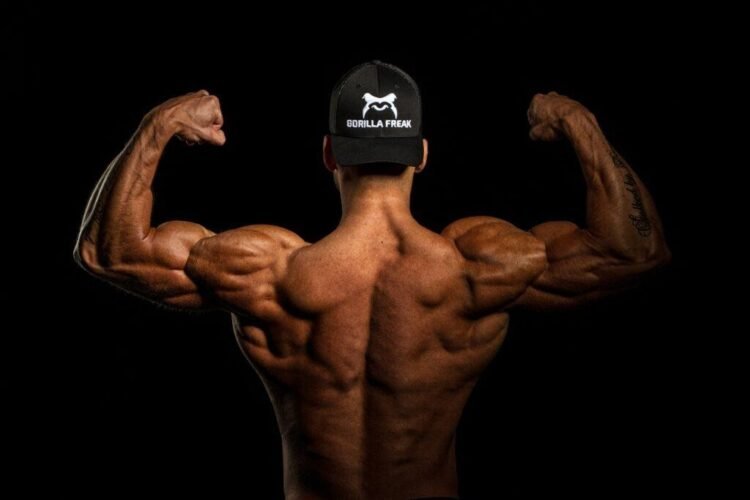Steroids Online: Legal Considerations and Best Practices for Buyers