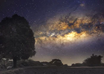 Exclusive Space Swag: What Comes in the Interstellar Vanguard Mission Kit?