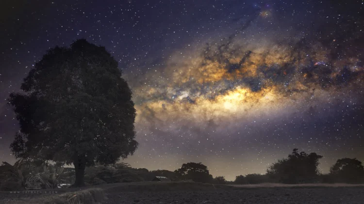 Exclusive Space Swag: What Comes in the Interstellar Vanguard Mission Kit?