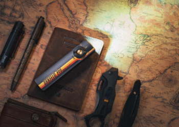 How to control rodent at home