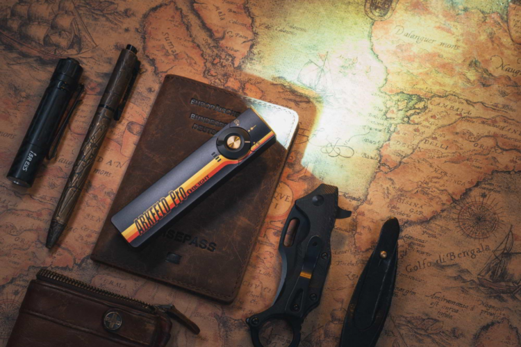 How to control rodent at home