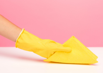 5 Tips to Keep a Spotless Home on a Budget